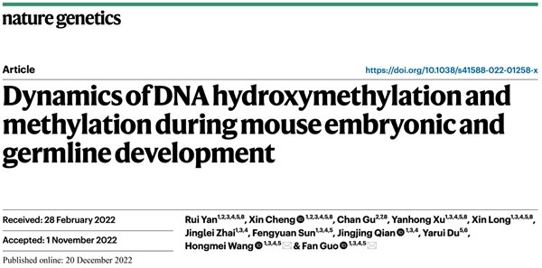 郭帆/王红梅团队解析小鼠早期胚胎和生殖细胞发育过程中DNA羟甲基化概观及其调控